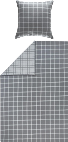 Erwin Müller Bettwäsche Wendebettwäsche, Biber, 2 teilig, Flanell Karo