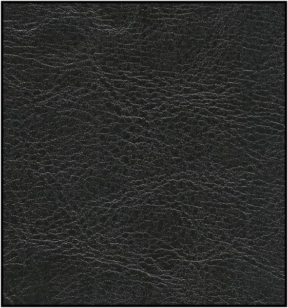 S-Style Möbel Chesterfield-Sessel Jeff aus veganem Leder mit Holzfüßen, mit Wellenfederung Bild 7