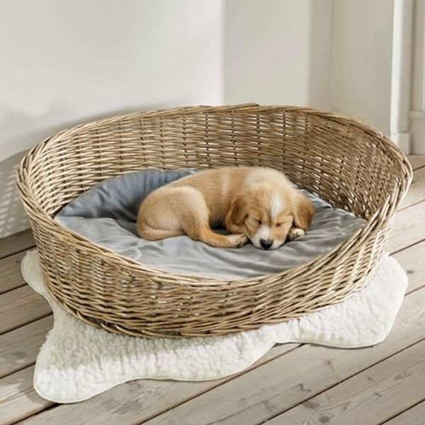 Hundekorb "Koboo Grey" aus Weide, Gr. XL 90x70 cm, Hundebett für mittelgroße Hunde, Tierbett mit Kissen, Weidenkorb