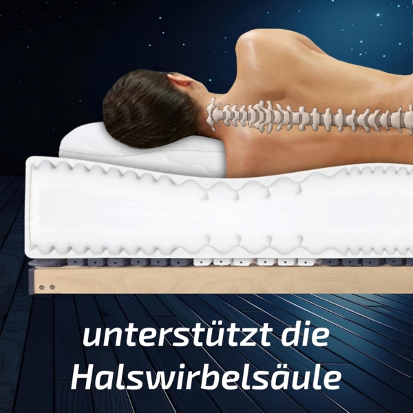 Matratzen Perfekt Kopfkissen TERRA MED Memory Bild 5