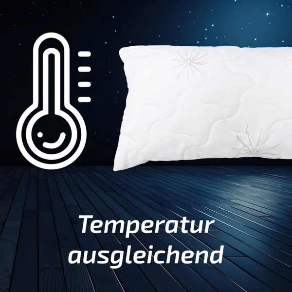 Matratzen Perfekt Kopfkissen TERRA MED Memory Bild 9
