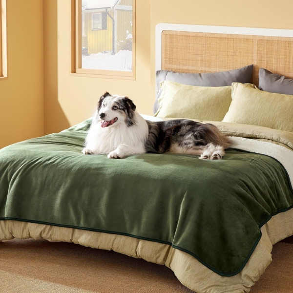 Lesure wasserdichte Hundedecke Grosse Hunde - 152x203 cm waschbar Hundedecke Outdoor, XL Hundedecke Sofaschutz aus Sherpa Fleece, Katzendecke flauschig für Couch, Olivgrün Bild 6
