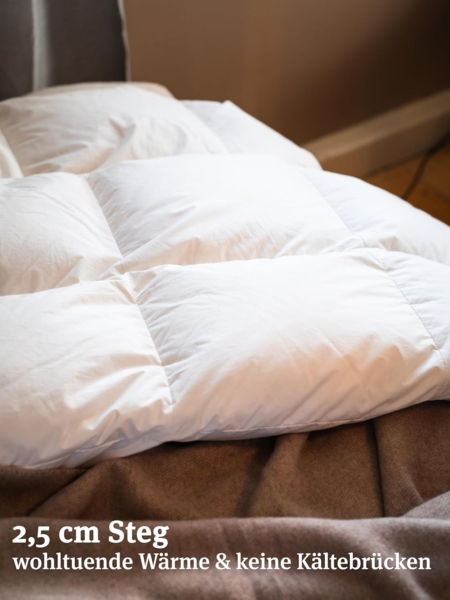Paradies Daunenbettdecke Elma 90, Füllung: 90% Daunen, 10% Federn, Bezug: 100% Baumwolle, natürliche Leichtigkeit Bild 6