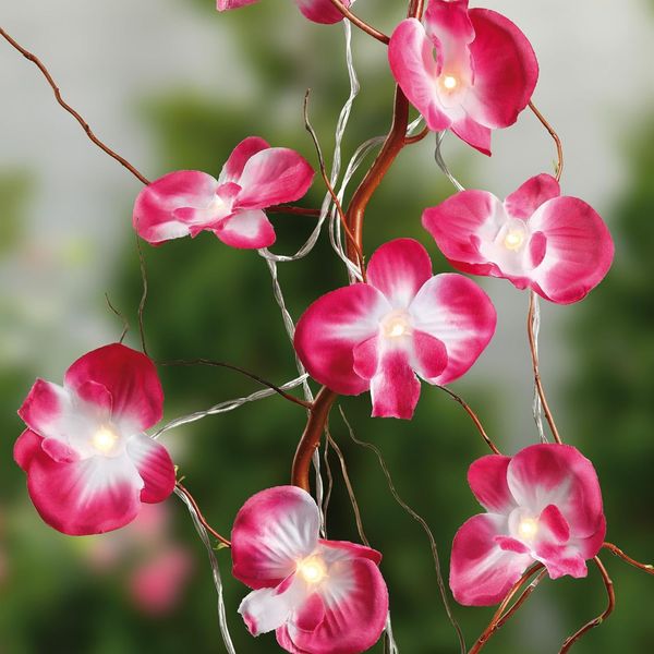 Hellum LED-Lichterkette Orchideen 10 BS innen