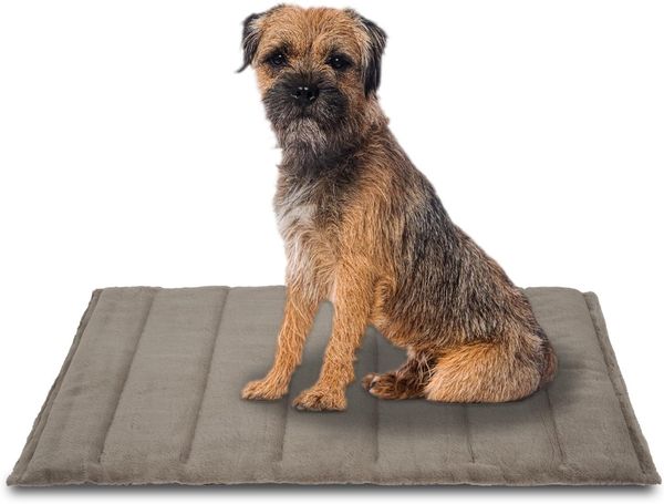 Petzzz Hundedecke Fred L 100 x 65 x 4 cm