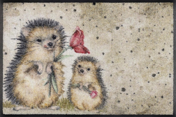 wash+dry by Kleen-Tex Fußmatte Spike, rechteckig, Höhe: 7 mm, Schmutzfangmatte, Motiv Igel, rutschhemmend, waschbar