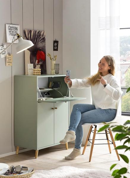 SCHILDMEYER Sekretär Schrank Schreibtisch Schreibschrank Computertisch Pistazie