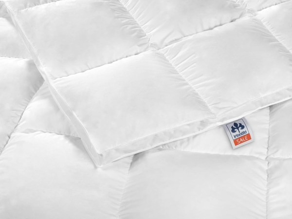Irisette Daunendecke Nora extra warme Winterdecke, aus 100% Baumwolle 100% Daune mit Aufbewahrungstasche, 200x200 cm, weiß