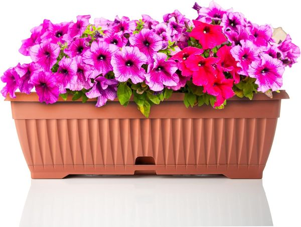 BigDean Blumenkasten mit abnehmbarem Untersetzer - Terracotta 50 cm lang aus bruchsicherem Kunststoff - Balkonkasten Pflanzkasten mit Wasserspeicher für Innen- & Außenbereich geeignet - Made in Europe