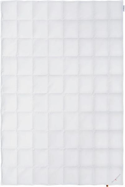 OBB Dauneneinziehdecke Sommerdecke Gitta Größe 200x200 cm