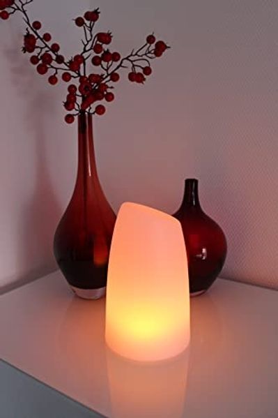 Arnusa LED Tischleuchte PL201 Akkulampe mit USB Aufladekabel RGB Fernbedienung, USB-Ladefunktion, LED fest integriert, 16 Leuchtfarben und 4 Farbwechselprogramme per Fernbedienung einstellbar, 12x20 cm dimmbar