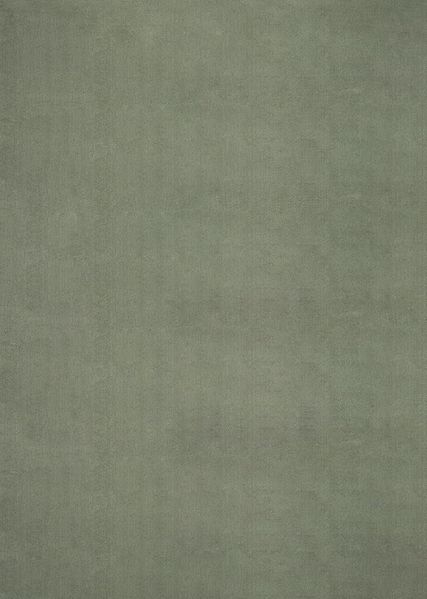 the carpet Relax kuscheliger Kurzflor Teppich, Anti-Rutsch Unterseite, Waschbar bis 30 Grad, Super Soft, Felloptik, Forest, 200x280 cm Bild 2