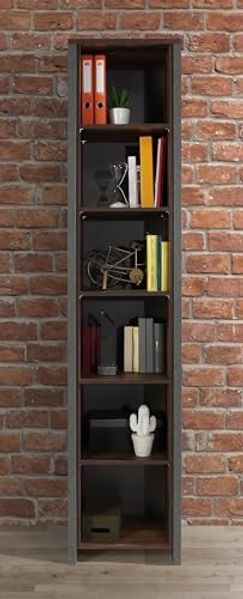 Forte Möbel 'Clif' Aktenregal, Bücherregal, old wood vintage/Beton Optik, ca. 221 cm hoch
