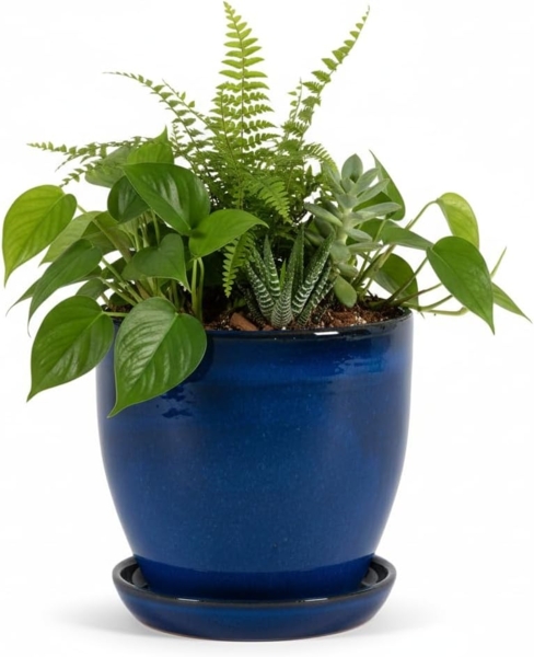 Blumentopf aus Keramik Modell "EggPot" 22cm in Royal Blau mit Teller