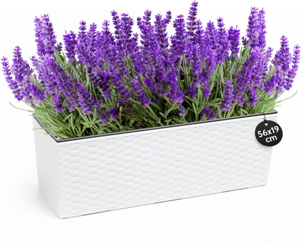 KONZEPT Balkonkasten Hochwertige Blumenkasten Rattan-Optikin, rechteckig 56 x 19 cm, Balkonkasten ideal fur Balkon, Terrasse, Fensterbank