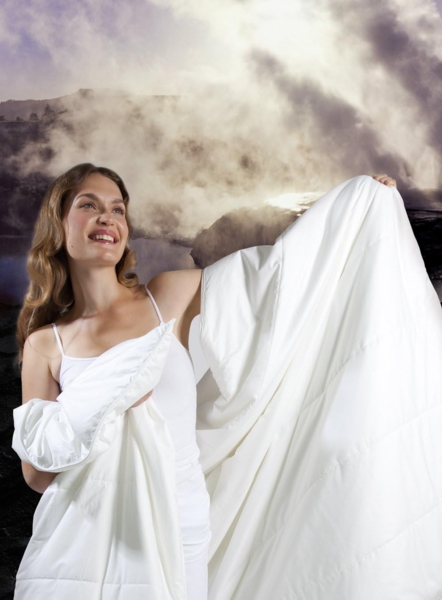 Centa-Star 0228.00 Famous Ganzjahresbett, 155x220 cm Bild 5