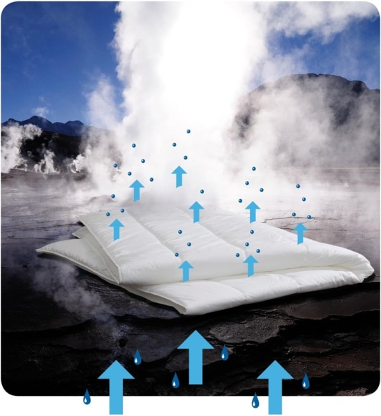 Centa-Star 0228.00 Famous Ganzjahresbett, 155x220 cm Bild 4