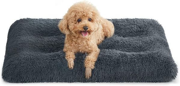 Feandrea Hundebett, Hundekissen, Flauschige Hundematte, Langer Plüsch, 80x50 cm, weiche Polsterung, maschinenwaschbar, multifunktional, dunkelgrau PGW201G02