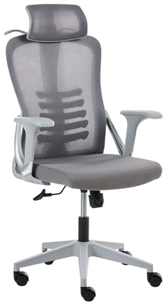 Bürostuhl ERGONOX Grau