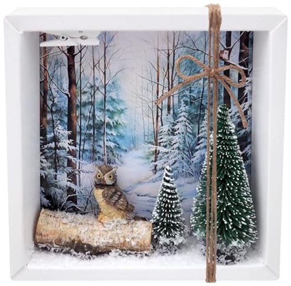 ZauberDeko Geschenkbox Geldgeschenk Verpackung Weihnachten Eule Wald Geschenk Gutschein