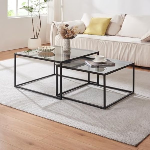 Couchtisch 2er Set Tromlaslo Rauchglas, grau [en. casa]