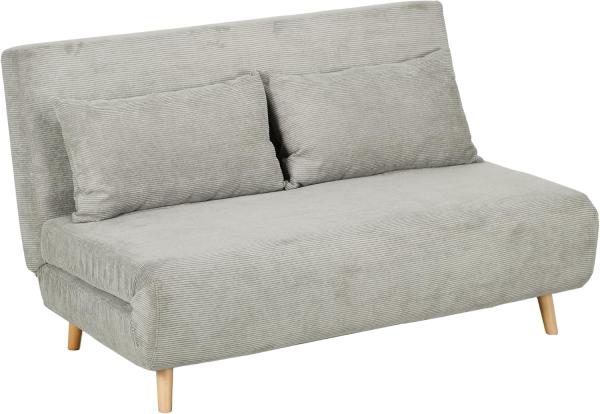 HOMCOM Schlafsofa Doppelschlafsofa mit 3-fach verstellbarer Rückenlehne und 2 Kissen, Polstersofa 1 Teile, für Wohnzimmer, Schlafzimmer, Hellgrau