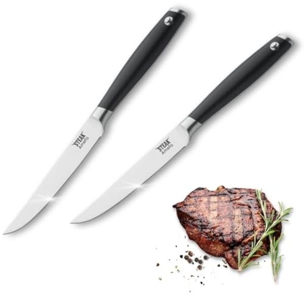 Amefa TENDERLOIN Steakmesser Set 2-teilig schwarz hochglanzpoliert
