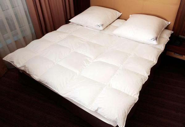 Mayaadi-Home HS97 Bettdecke Baumwolle 70% Daunen 30% Federn Weiß 240x260 cm 2700 Gramm Bild 9