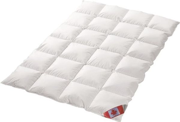 Polaris Premium Ganzjahresdecke 100% weisse Canada Gänsedaune 240x220 cm Pol 3
