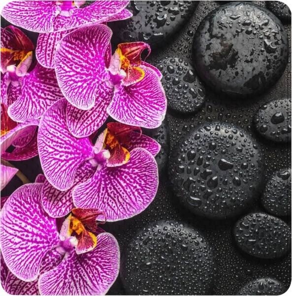 Sanilo Duschmatte mit Motiv, viele schöne Badematten zur Auswahl, rutschfeste & sichere Badematte, hochwertig, Kunststoff PVC, quadratisch, 230 extra starke Saugnäpfe, 53 x 53 cm, waschbar Bild 2