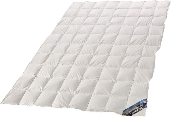 Arktic Sommer Daunendecke arktischer Daunenflaum 100% Daune 200x220 cm A1