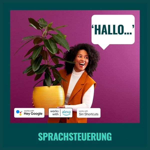 WiZ E27 smarte LED Lampe - 60W E27 Ersatz, 3er-Pack, klassischer Stil mit Weißschattierungen, WLAN/Bluetooth, Sprach- / App-Steuerung, funktioniert mit Google Home, Alexa und HomeKit Bild 5