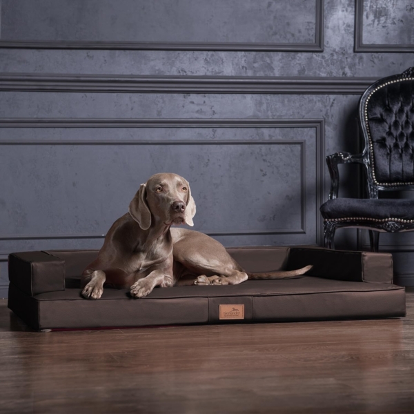 GIBSON Orthopädisches Hundesofa - 150x100cm, 01 Braun Bild 2
