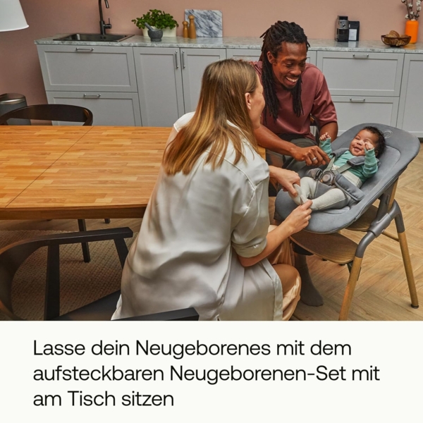 Bugaboo Giraffe Newborn Newbornaufsatz Set Tornado Grey Grau dunkel Bild 5