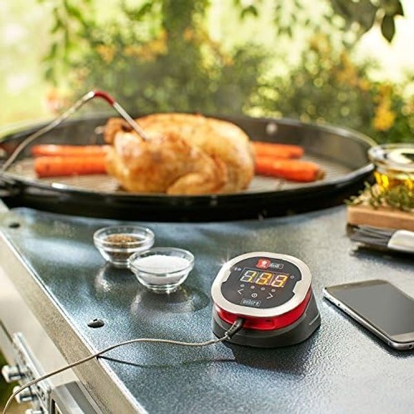 Weber iGrill 2, zwei Messfühler