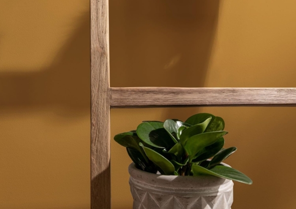 Massivmoebel24 Dekoleiter (1 St, Dekoleiter Teak 50x5x180 natur unbehandelt BASSANO #134) Bild 5