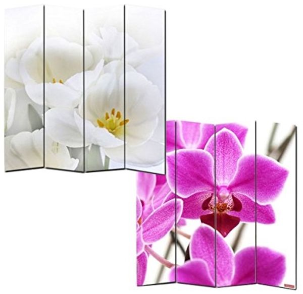 Foto-Paravent Paravent Raumteiler Trennwand M68 ~ 180x160cm, Orchidee