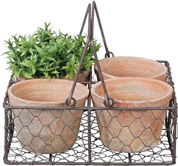 Stilvoll präsentiert: 4 Terracotta Blumentöpfe in elegantem Drahtkorb