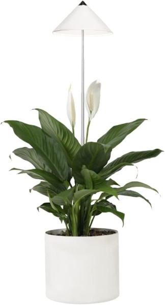SUNLiTE 7W LED Pflanzenlampe Weiß innen, mit ausziehbarem Teleskopstab
