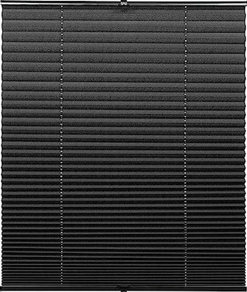 Plissee Concept Tageslicht Schwarz
