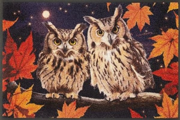 wash+dry by Kleen-Tex Fußmatte Night Owls, rechteckig, Höhe: 7 mm