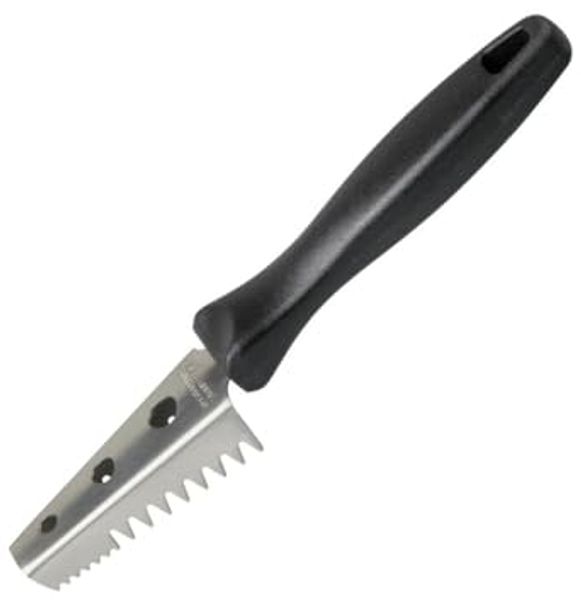 FMprofessional 21724 Fischentschupper CHEF 21,5 cm aus INOX mit Kunststoffgriff / Entschupper