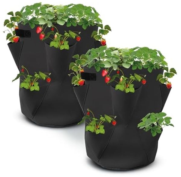 Spetebo Anzuchttopf Erdbeer Pflanzsack 2er Set aus Filz - 45 x 35 cm (Set, 2 St, Pflanzsäcke im Set), Wiederverwendbarer Filz Pflanztasche
