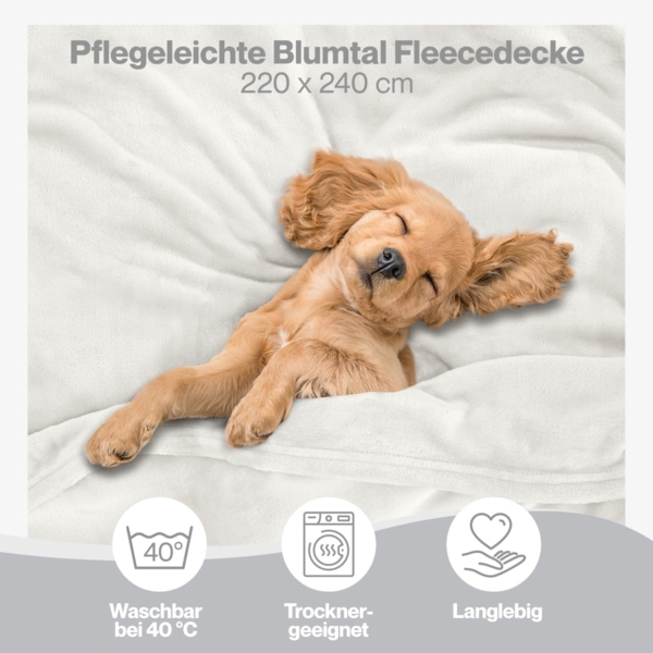 Blumtal Kuscheldecke aus Fleece - hochwertige Decke, Oeko-TEX® Zertifiziert in 220x240 cm, Kuscheldecke flauschig als Sofadecke, Tagesdecke oder Winterdecke, Off-White - weiß Bild 3