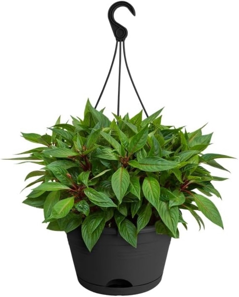 Elho Hängeampel Green Basics schwarz Ø 28 cm Bild 7