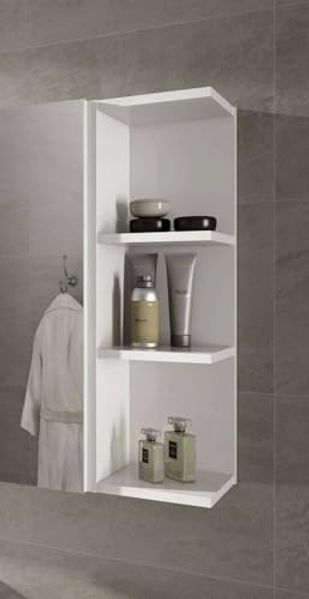 Dmora Eckschrank für Badezimmer mit vier Regalen, als Ergänzung zu kompatiblen Möbeln, glänzend weiß, 20 x 65 x 19,5 cm.