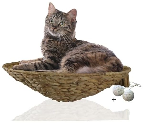 Rohrschneider Katzen-Kletterwand runde Katzenmulde Wandmontage Katzenbett Wandliege Katzenkorb