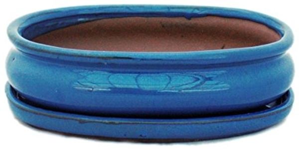 Exotenherz Pflanzschale Bonsai-Schale mit Unterteller Gr. 3 - Blau oval - Modell O47 - L 19cm (1 St)