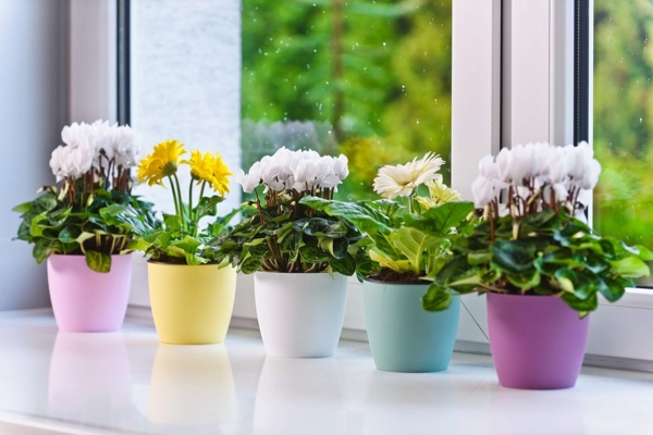 Tymar Blumentopf, 2er-Pack, Pflanzentopf aus Kunststoff, Moderne, matt, Runde Form (Gelb, ø 18 cm) Bild 5