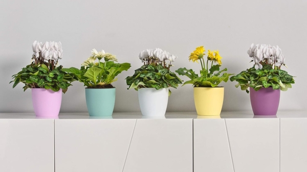 Tymar Blumentopf, 2er-Pack, Pflanzentopf aus Kunststoff, Moderne, matt, Runde Form (Gelb, ø 18 cm) Bild 7